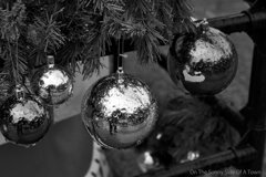 On The Sunny Side Of Town (Dec.17, 2023)