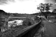 On The Sunny Side Of Town (Dec.26, 2023)