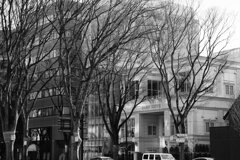 On The Sunny Side Of Town (Jan.2, 2024)