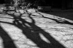 On The Sunny Side Of Town (Jan.28, 2024)