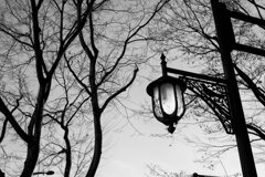 On The Sunny Side Of Town (Dec.21, 2023)