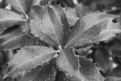 On The Sunny Side Of Town (Dec.31, 2023)