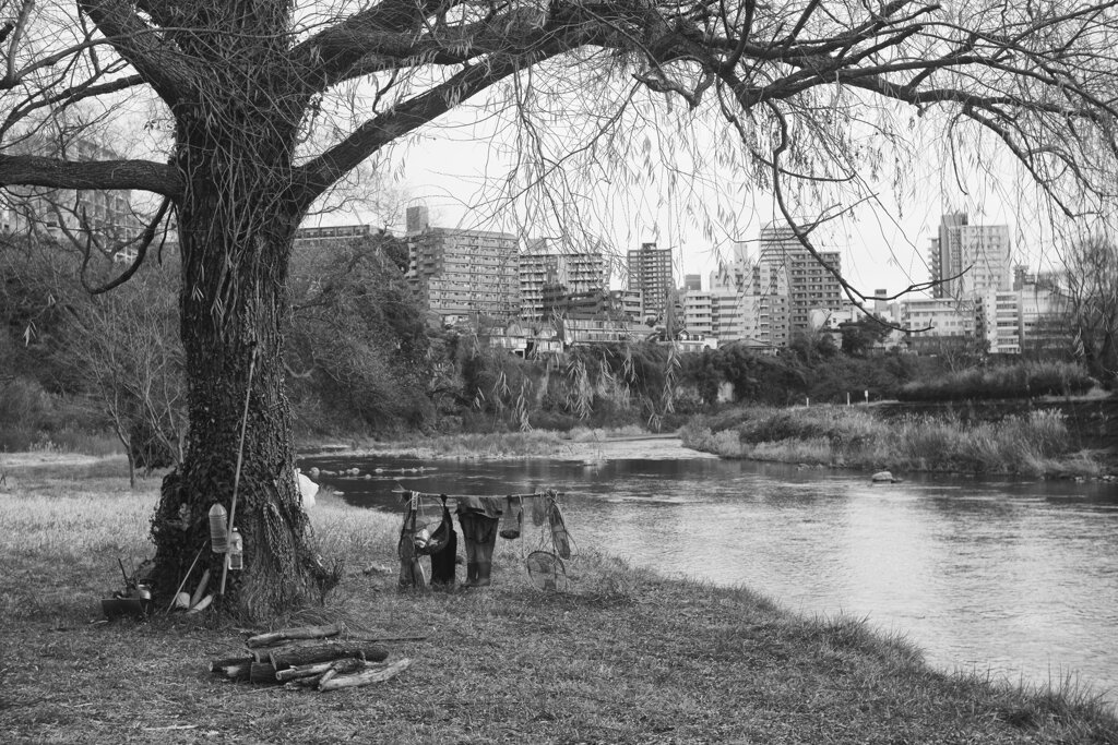 On The Sunny Side Of Town (Dec.24, 2023)