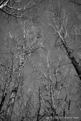 On The Sunny Side Of Town (Dec.18, 2023)