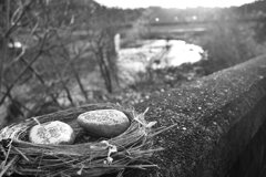 On The Sunny Side Of Town (Dec.26, 2023)