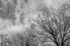 On The Sunny Side Of Town (Dec.21, 2023)