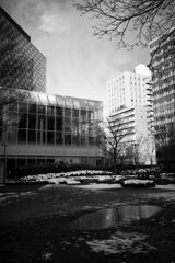 On The Sunny Side Of Town (Jan.27, 2024)