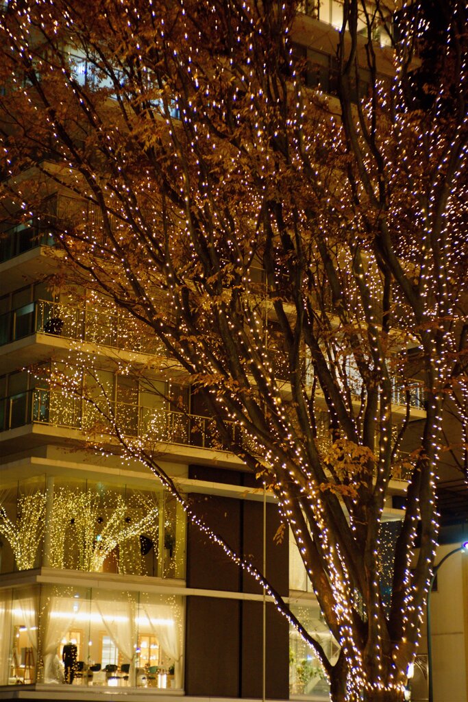 The Sendai Pageant of Starlight