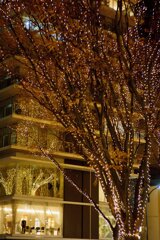 The Sendai Pageant of Starlight