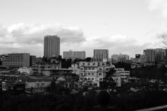 定点撮影 Canon 50mm f1.4 Sレンズ: F5.6