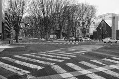 On The Sunny Side Of Town (Jan.26, 2024)