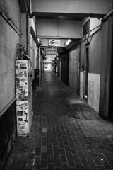 On The Sunny Side Of Town (Jan.27, 2024)