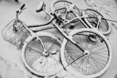 On The Sunny Side Of Town (Jan.16, 2024)