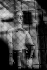 On The Sunny Side Of Town (Jan.28, 2024)