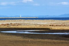 蒲生干潟（宮城県仙台市）Jan.14, 2024