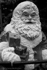 On The Sunny Side Of Town (Dec.17, 2023)