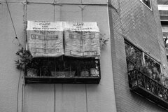 On The Sunny Side Of Town (Jan.1, 2024)