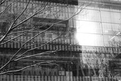 On The Sunny Side Of Town (Jan.16, 2024)