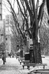 On The Sunny Side Of Town (Jan.16, 2024)