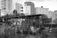 On The Sunny Side Of Town (Dec.26, 2023)