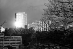 On The Sunny Side Of Town (Jan.7, 2024)