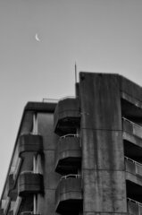 On The Sunny Side Of Town (Jan.7, 2024)