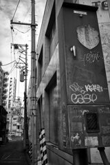 On The Sunny Side Of Town (Jan.27, 2024)