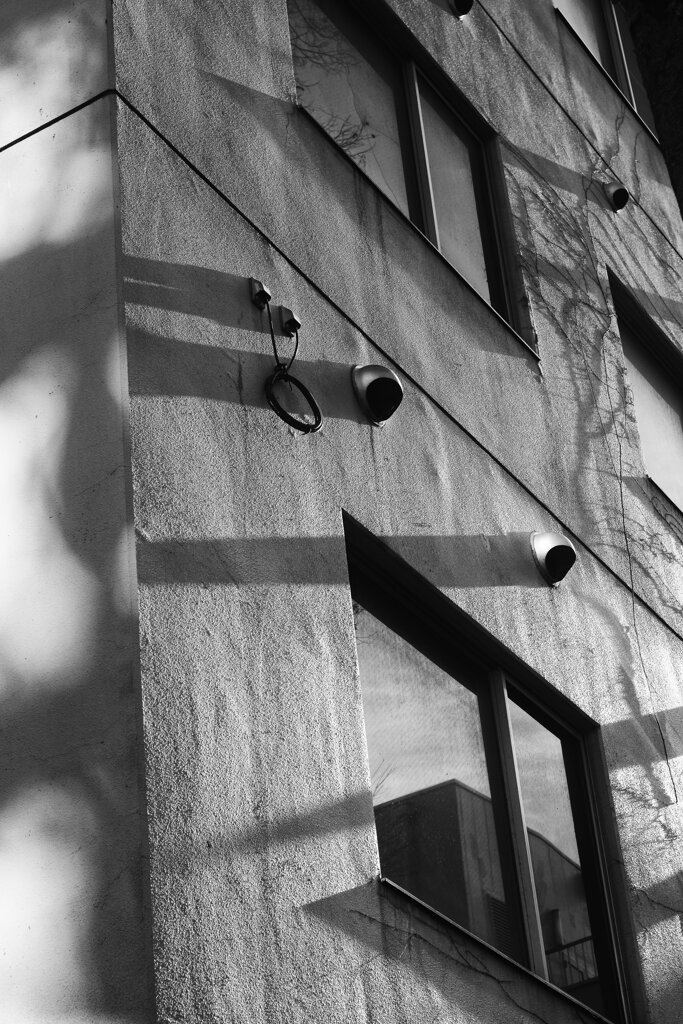 On The Sunny Side Of Town (Jan.2, 2024)