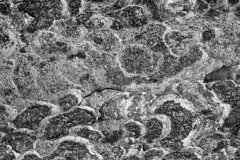 On The Sunny Side Of Town (Dec.31, 2023)