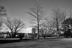 On The Sunny Side Of Town (Jan.5, 2024)