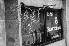 On The Sunny Side Of Town (Jan.1, 2024)