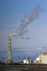 蒲生干潟（宮城県仙台市）Jan.14, 2024