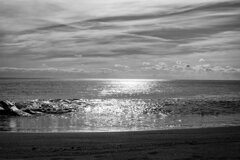 宮城県東松島市野蒜(ﾉﾋﾞﾙ)海岸(Jan.20,2024)