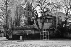 On The Sunny Side Of Town (Jan.19, 2024)