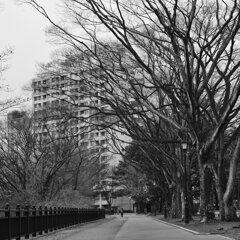 On The Sunny Side Of Town (Dec.22, 2023)