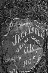 On The Sunny Side Of Town (Jan.15, 2024)