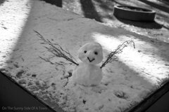 On The Sunny Side Of Town (Dec.18, 2023)