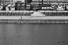 On The Sunny Side Of Town (Jan.19, 2024)