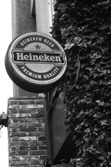 On The Sunny Side Of Town (Jan.1, 2024)