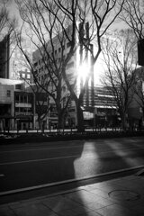 On The Sunny Side Of Town (Jan.27, 2024)