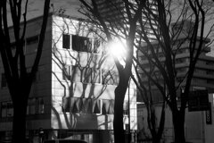 On The Sunny Side Of Town (Feb.2, 2024)