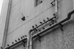 On The Sunny Side Of Town (Dec.21, 2023)