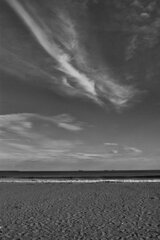 On The Sunny Side Of Town (Jan.14, 2024)