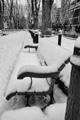 On The Sunny Side Of Town (Feb.6, 2024)