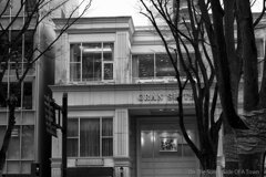 On The Sunny Side Of Town (Dec.17, 2023)