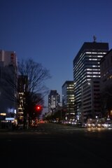 On The Sunny Side Of Town (Jan.11, 2024)