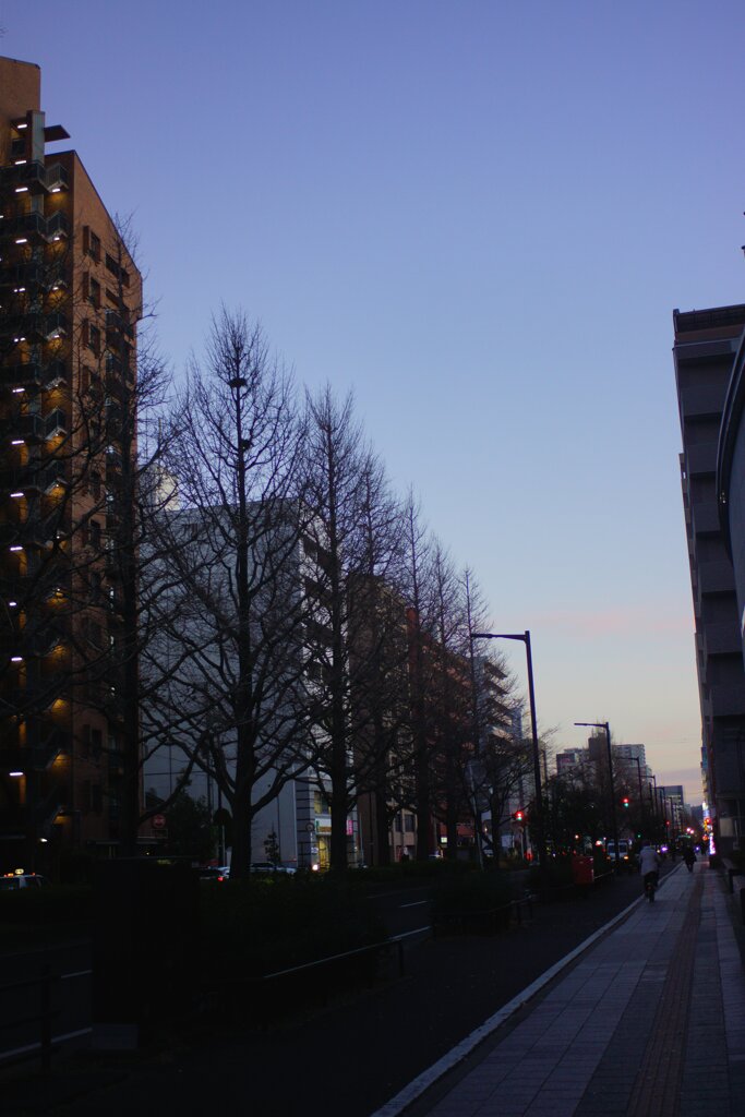 On The Sunny Side Of Town (Jan.11, 2024)