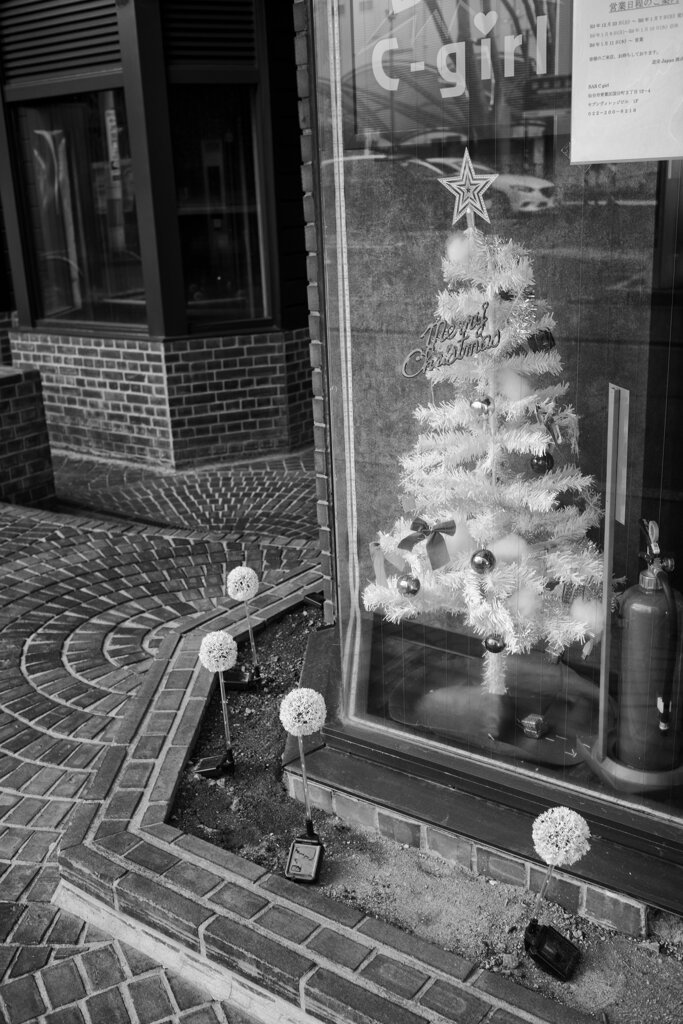 On The Sunny Side Of Town (Dec.23, 2023)