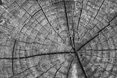 On The Sunny Side Of Town (Dec.31, 2023)