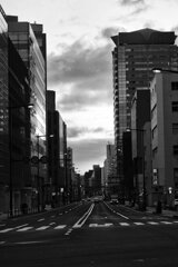 On The Sunny Side Of Town (Feb.3, 2024)